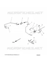 FUEL SYSTEM, EVAP SYSTEM (CALIF. AND INTL)