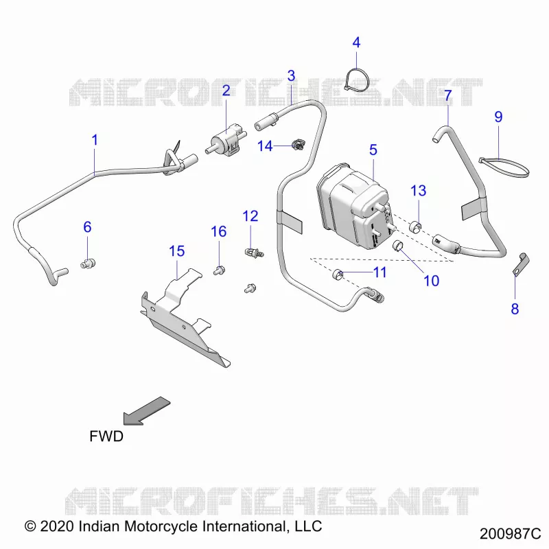 FUEL SYSTEM, EVAP SYSTEM (CALIF. AND INTL)