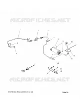 FUEL SYSTEM, EVAP SYSTEM