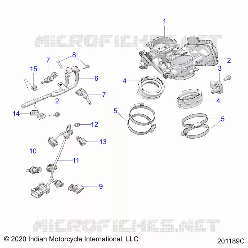 ENGINE, THROTTLE BODY AND FUEL RAIL