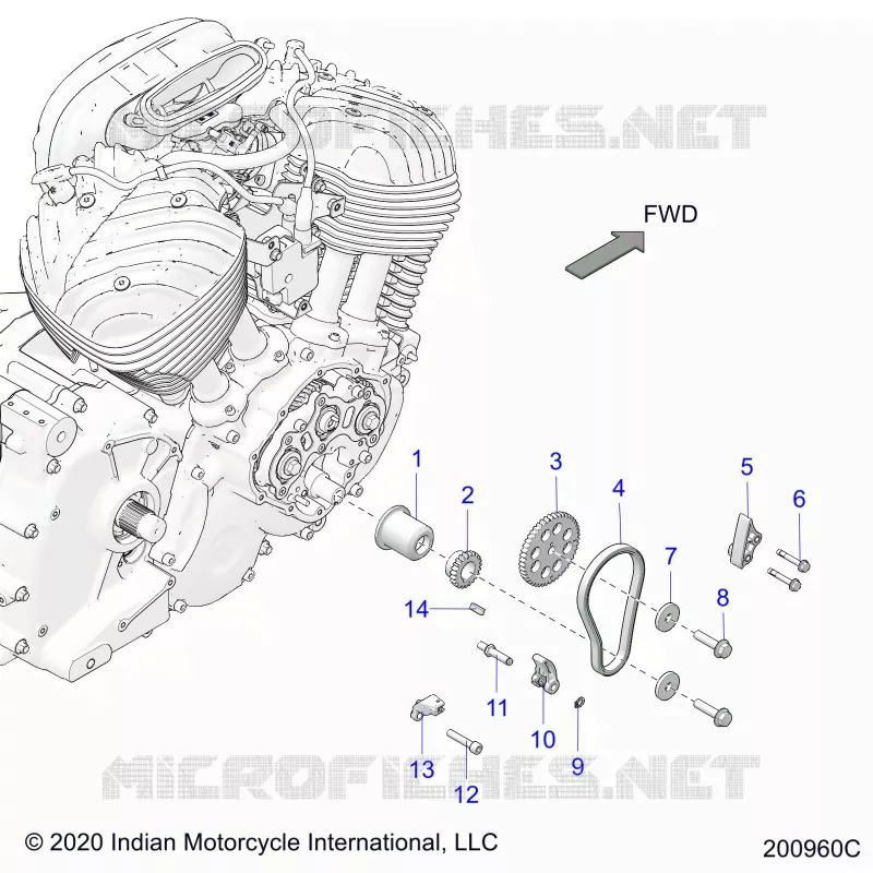 CAM CHAIN AND SPROCKETS