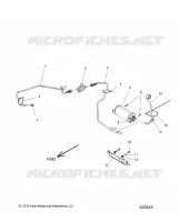 FUEL SYSTEM, EVAP SYSTEM (CALIFORNIA)