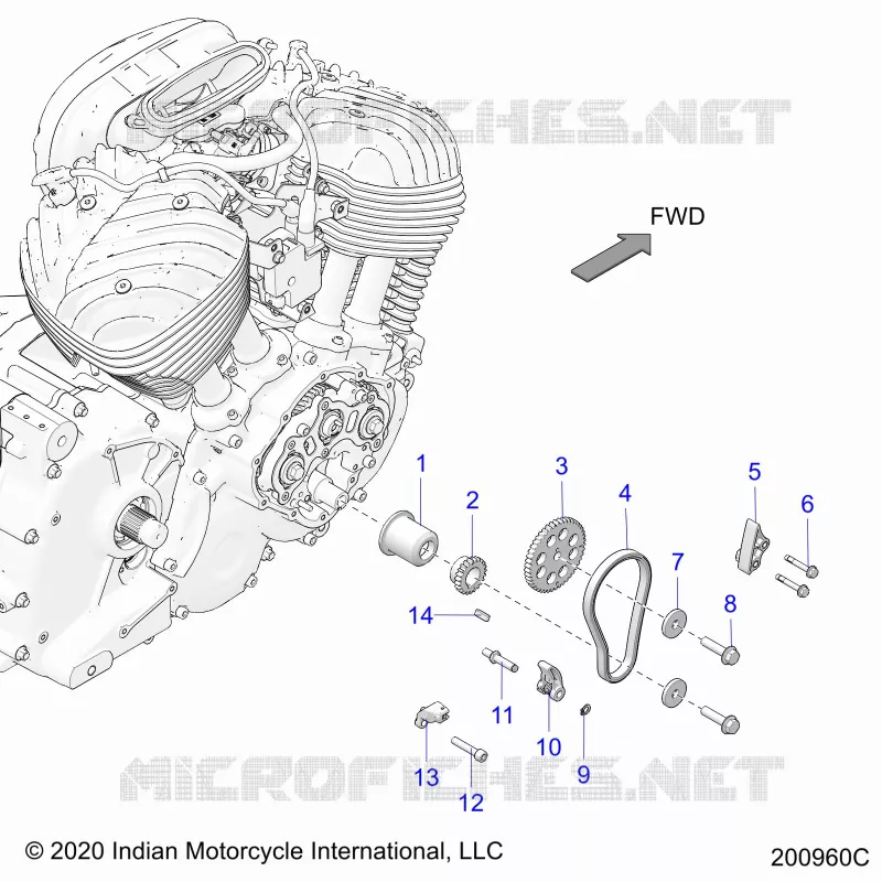 CAM CHAIN AND SPROCKETS