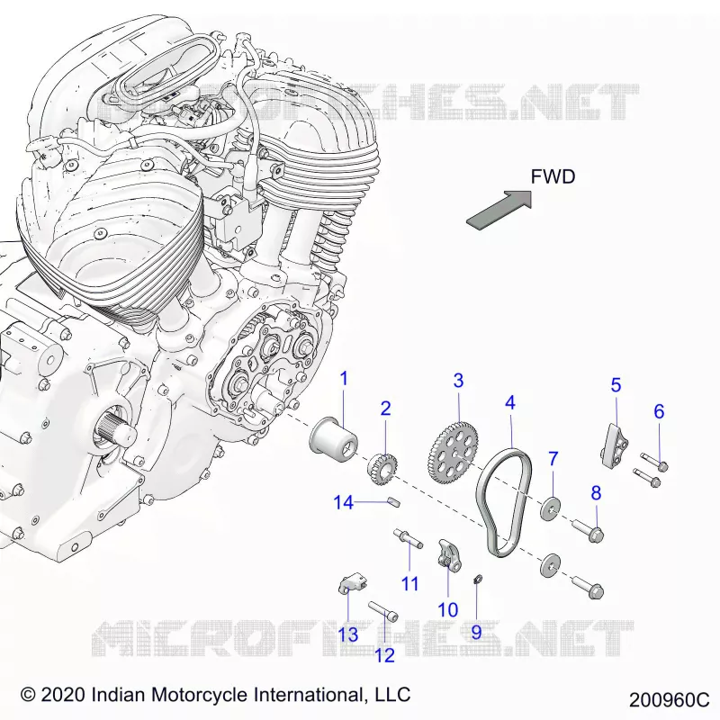 CAM CHAIN AND SPROCKETS