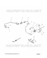FUEL SYSTEM, EVAP SYSTEM  (CALIF. AND INTL)