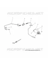 FUEL SYSTEM, EVAP SYSTEM